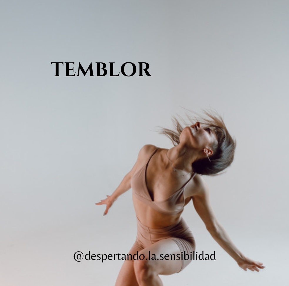 Screenshot_20231211-002928_Canva
